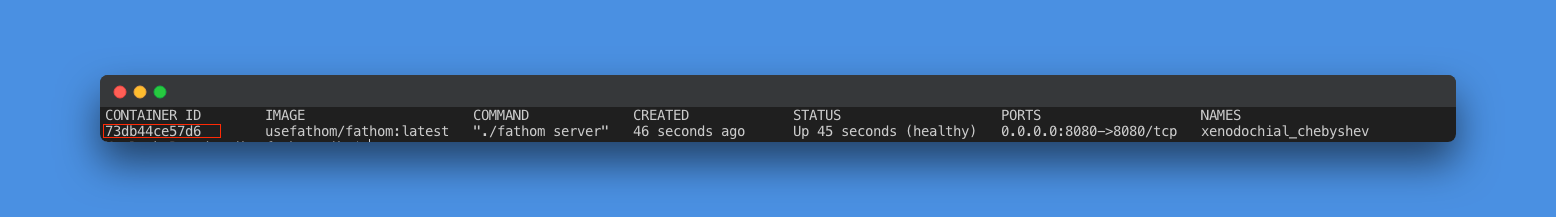 retrieving the container id